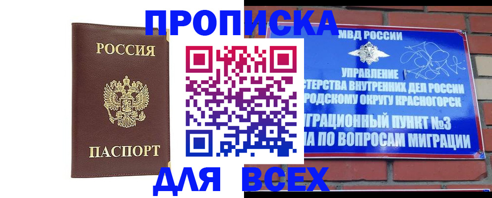 пропишу в квартире в Волоколамске